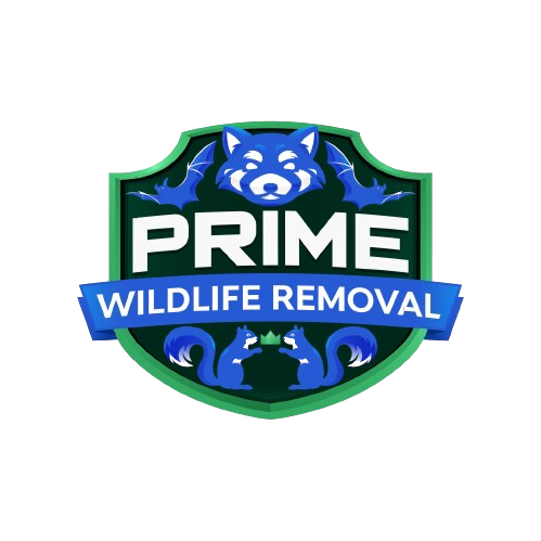 Wildlife Removal Cooper Township